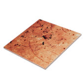 Orangefarbene abstrakte Kunst Fliese (Seite)