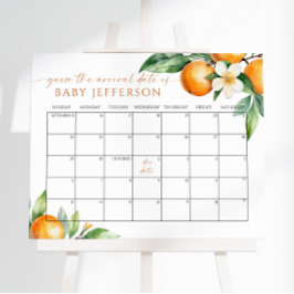 Orangefarbene Baby-Dusche Ratschlag Fälligkeitszei Poster