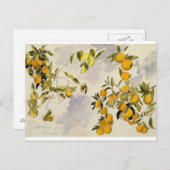 Orangefarbene Bäume, 1863 (w/c, Stift und Tinte üb Postkarte (Vorne/Hinten)