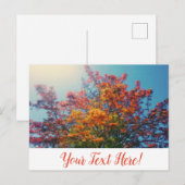 Orangefarbene Blätter Herbstbaum Postkarte (Vorne/Hinten)