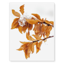 Orangefarbene Blätter im Winter