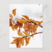 Orangefarbene Blätter im Winter Postkarte (Vorderseite)