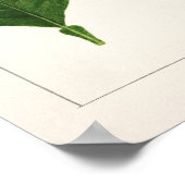 Orangefarbene Blätter (Poncirus Trifoliata) Malere Poster (Ecke)