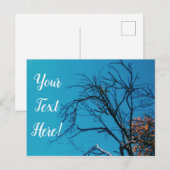 Orangefarbene Blätter Tree Blue Sky Postcard Postkarte (Vorne/Hinten)