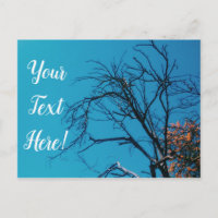 Orangefarbene Blätter Tree Blue Sky Postcard