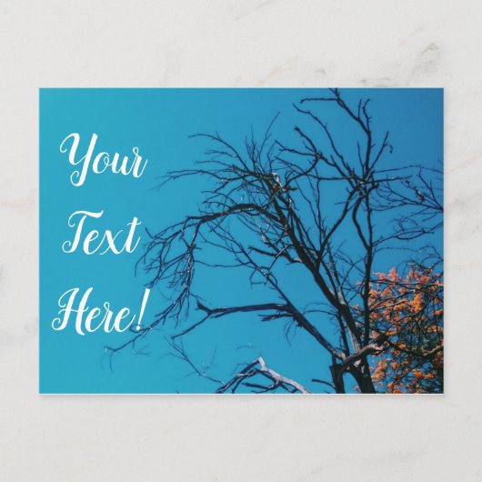 Orangefarbene Blätter Tree Blue Sky Postcard Postkarte (Vorderseite)