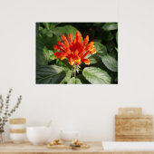 orangefarbene Blume 02 Poster (Küche)