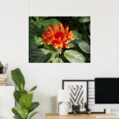 orangefarbene Blume 02 Poster (Heimbüro)