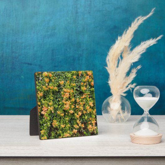 Orangefarbene Blume an einer Mauer, Fotoplatte (InSitu)