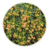 Orangefarbene Blume an einer Mauer, Keramikknauf (Vorderseite)