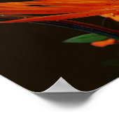 Orangefarbene Blume bei Sonnenschein Poster (Ecke)