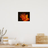 Orangefarbene Blume bei Sonnenschein Poster (Küche)