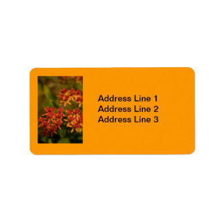 Orangefarbene Blume im Smoky-Gebirge-Label Adressaufkleber