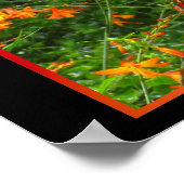 Orangefarbene Blume im Wald Poster (Ecke)