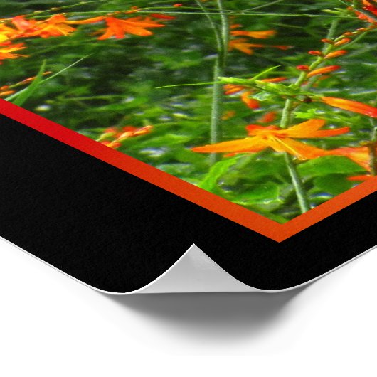 Orangefarbene Blume im Wald Poster (Ecke)