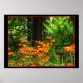Orangefarbene Blume im Wald Poster (Vorne)