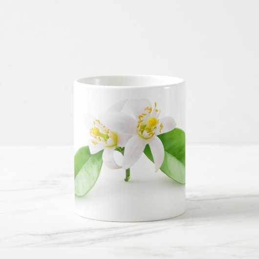 Orangefarbene Blume Kaffeetasse (Mittel)