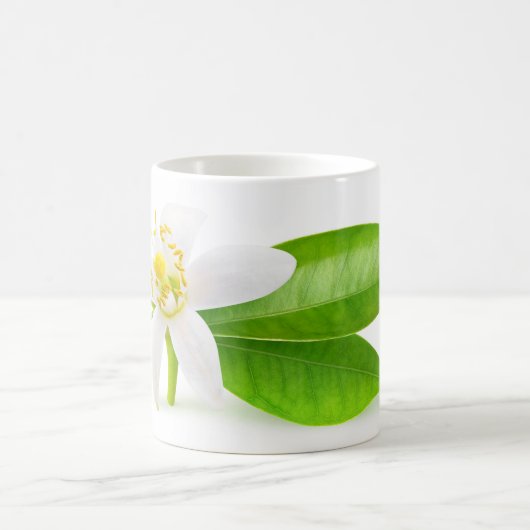Orangefarbene Blume Kaffeetasse (Mittel)