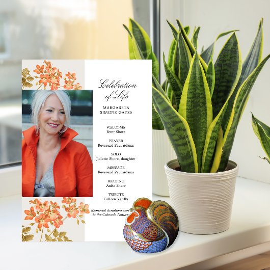 Orangefarbene Blume - Lebensflachprogramm Programm