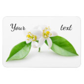 Orangefarbene Blume Magnet (Horizontal)