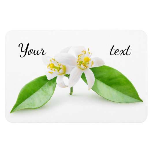 Orangefarbene Blume Magnet (Horizontal)