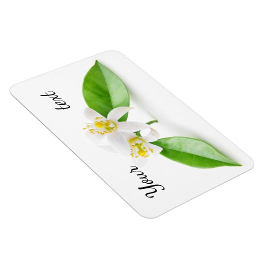 Orangefarbene Blume Magnet (Rechte Seite)