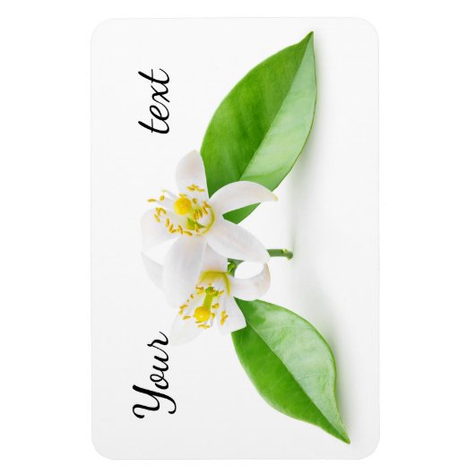 Orangefarbene Blume Magnet (Vertikal)