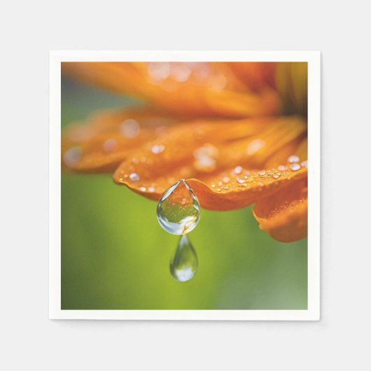 Orangefarbene Blume mit Taubentropfen Hintergrund Serviette (Vorderseite)