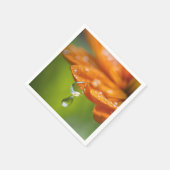 Orangefarbene Blume mit Taubentropfen Hintergrund Serviette (Ecke)