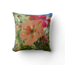 Orangefarbene Blume Naturfotografie