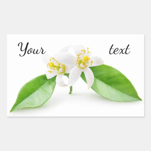 Orangefarbene Blume Rechteckiger Aufkleber (Vorderseite)