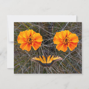 Orangefarbene Blume und Gelber Schmetterling Postkarte