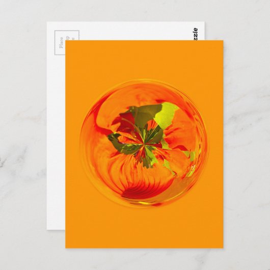 Orangefarbene Blume weltweit Postkarte (Vorne/Hinten)