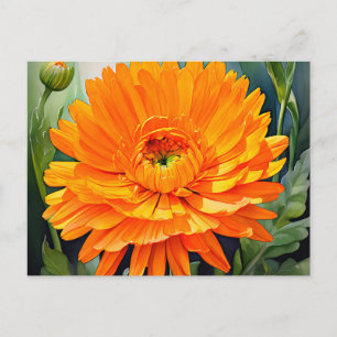 Orangefarbene Calendula Wasserfarbe mit weich glän Postkarte