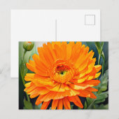 Orangefarbene Calendula Wasserfarbe mit weich glän Postkarte (Vorne/Hinten)