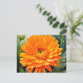 Orangefarbene Calendula Wasserfarbe mit weich glän Postkarte (Stehend Vorderseite)