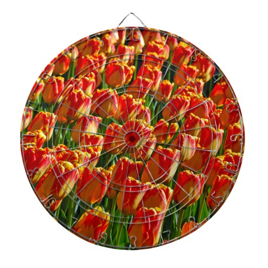 Orangefarbene Frühlingtulis Dartscheibe (vorne)