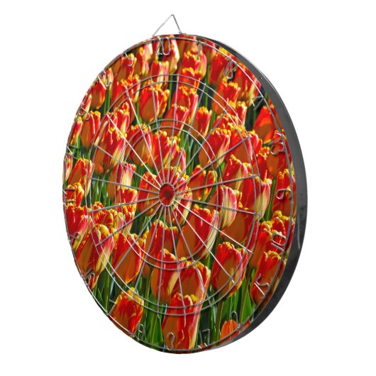 Orangefarbene Frühlingtulis Dartscheibe (Vorderseite rechts)