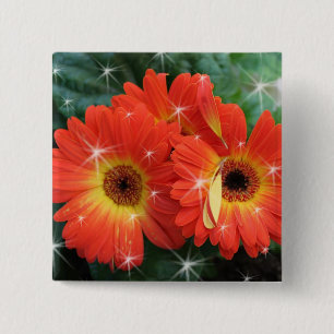 Orangefarbene Gerbera-Daisy mit Sternen Button