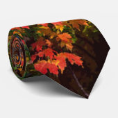 Orangefarbene Herbstblätter Krawatte (Gerollt)