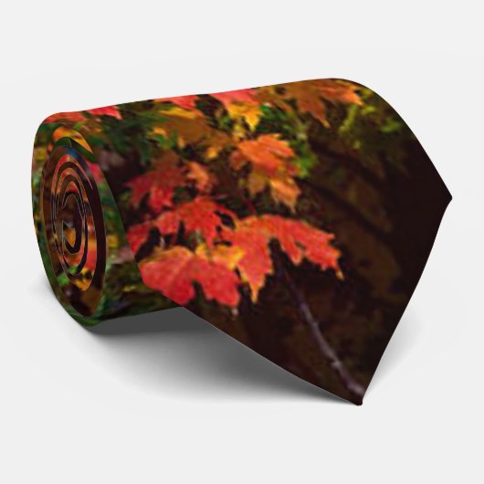 Orangefarbene Herbstblätter Krawatte (Gerollt)