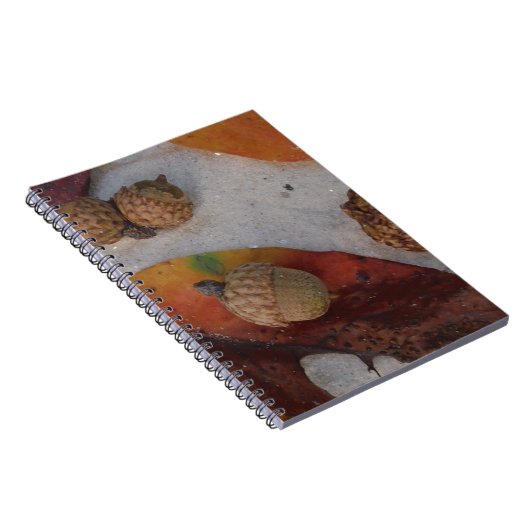 Orangefarbene Herbstlaub und Eicheln Notizblock (Rechte Seite)