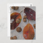 Orangefarbene Herbstlaub und Eicheln Postkarte (Vorne/Hinten)