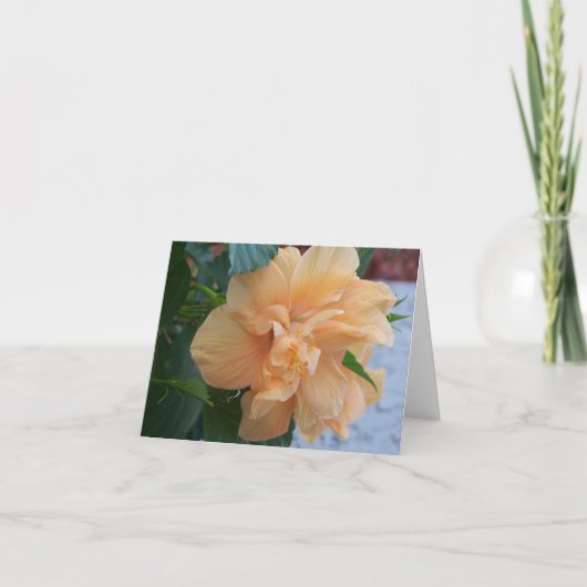 Orangefarbene Hibisken-Blume auf einer leeren Inne Karte (Vorderseite)