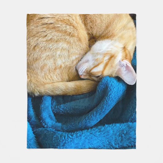 Orangefarbene Katze auf blauer Decke aufgerollt (Vorderseite)