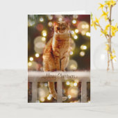 Orangefarbene Katze auf einem Zaun mit Weihnachtsb Karte (Gelbe Blume)