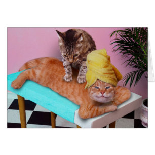 Orangefarbene Katze, die eine Massage durch eine K