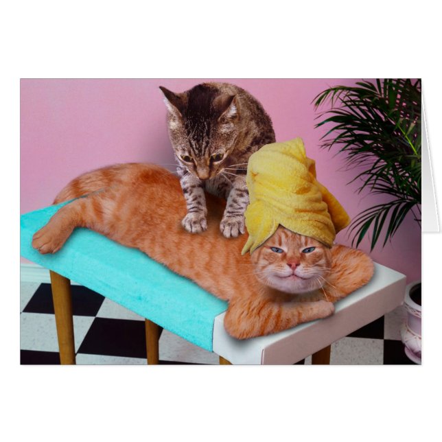 Orangefarbene Katze, die eine Massage durch eine K (Vorderseite (Horizontal))