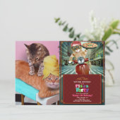 Orangefarbene Katze, die eine Massage durch eine K Einladung (Stehend Vorderseite)