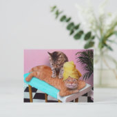 Orangefarbene Katze, die eine Massage durch eine K Postkarte (Stehend Vorderseite)